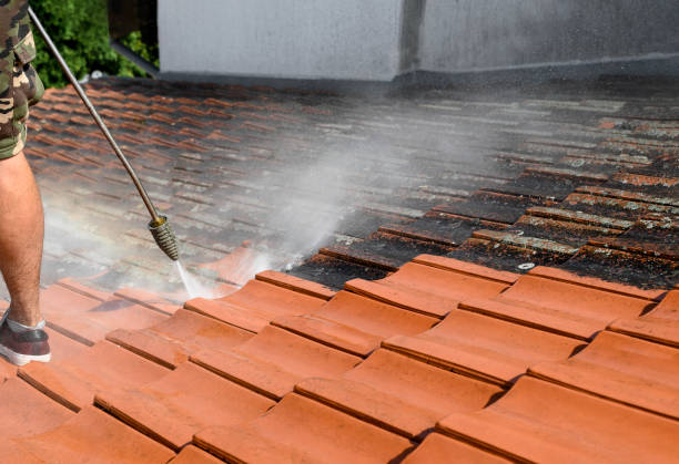 Best Pressure Washing Driveway  in Kalida, OH