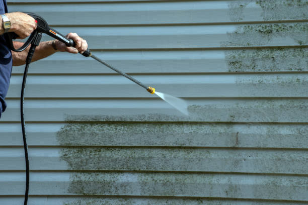 Best Roof Pressure Washing  in Kalida, OH